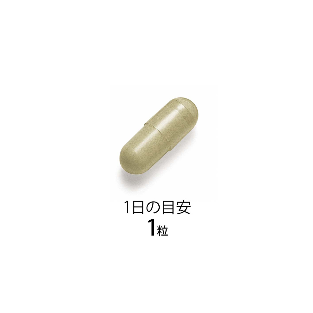 FANCL Well-Age Premium 30 Tage | Vitalität und Anti-Aging – Japanisches Nahrungsergänzungsmittel