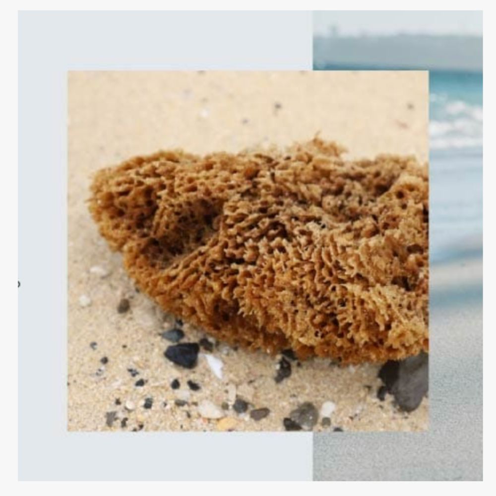 Ryu Spa Resort Kucha Pack - a mask for deep cleansing with sea mud and extracts of seaweed, 120 g.