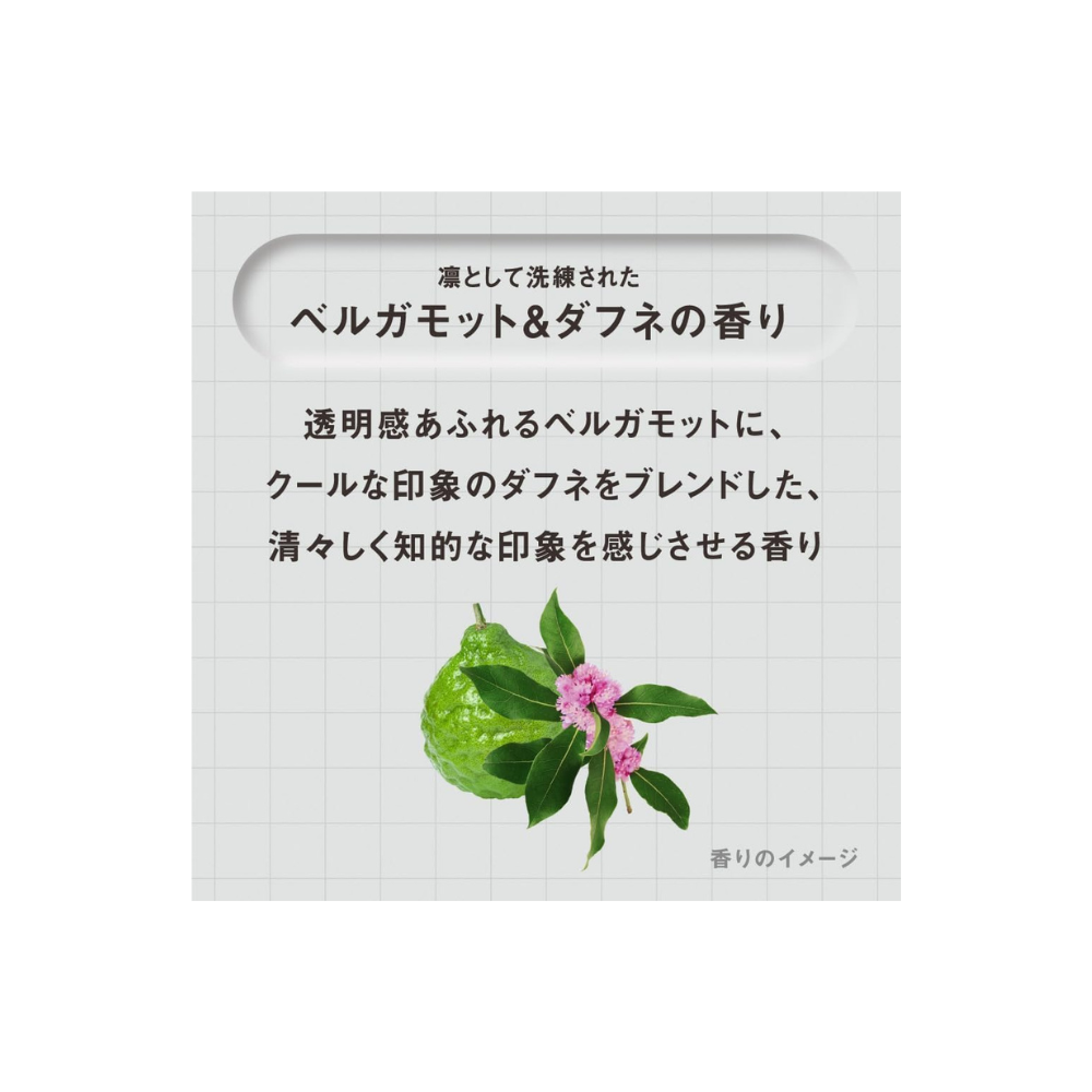 Kao THE ANSWER Super Lamellar Shampoo 400ml | Japan