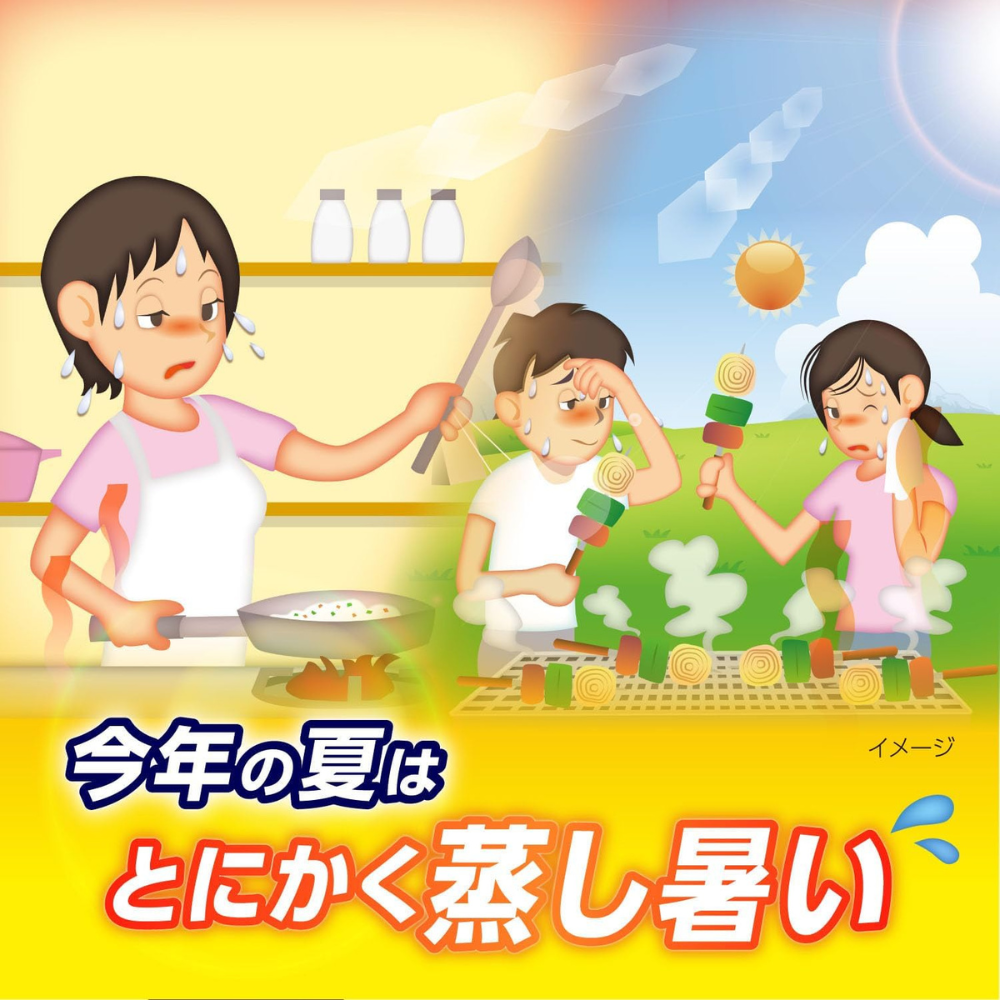 Kobayashi Netsu-Taisaku Kühlhandtuch 5 Blatt | Einweg-Menthol-Nackenkühltücher – Japanische Wärmepflege