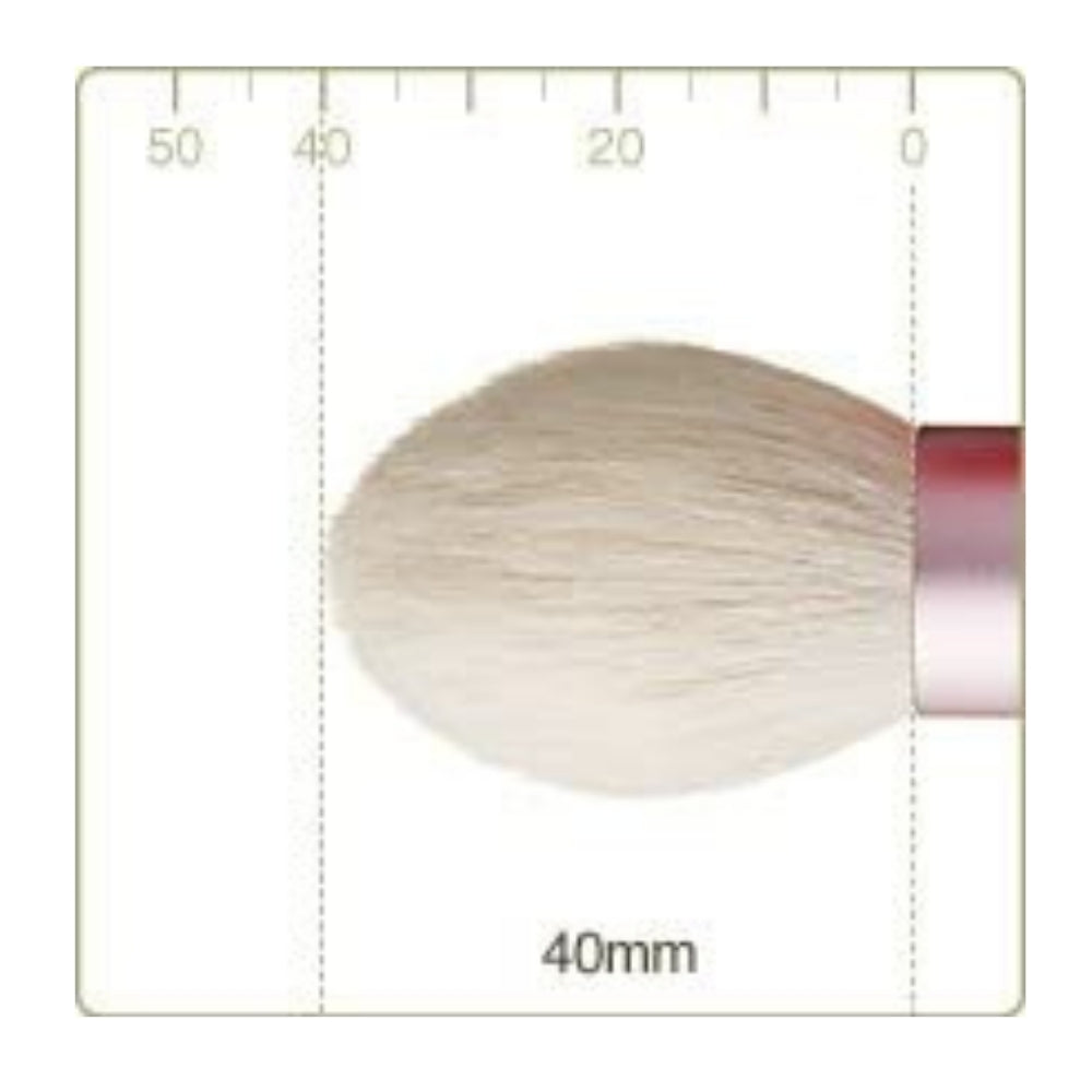 Facial Wash Brush