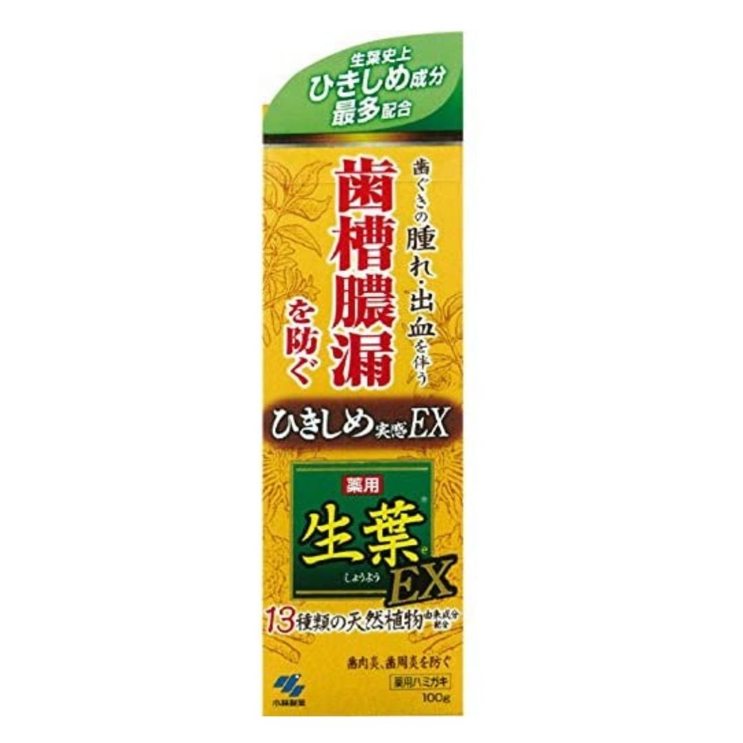 SHYOSHYO TOOTHPASTE - toothpaste that prevents gum inflammation, 100 g