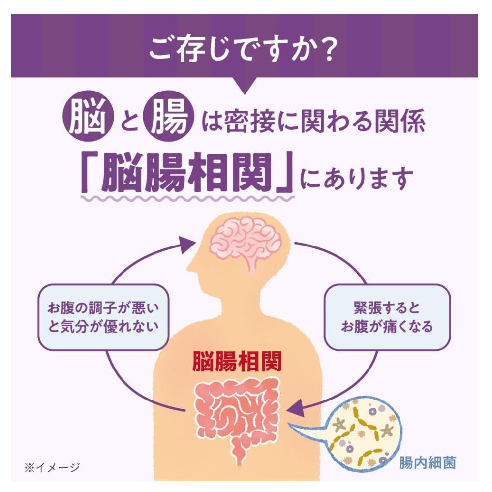 Morinaga Memory Bifidus Supplement – Functional Food for Memory Support & Cognitive Health, Brain-Boosting Probiotic, 60 Capsules