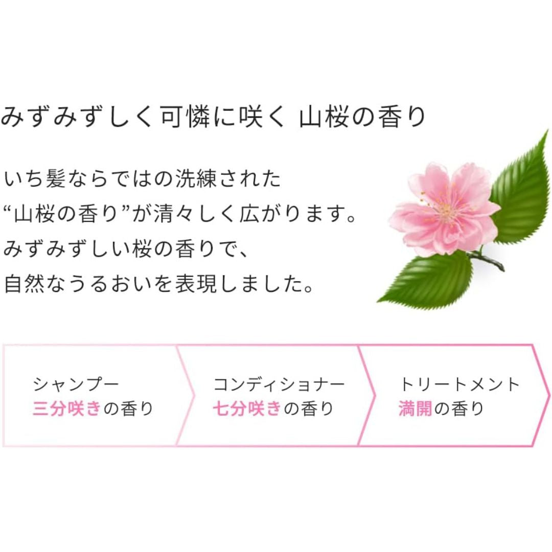 Ichikami Smooth Care Shampoo 480ml