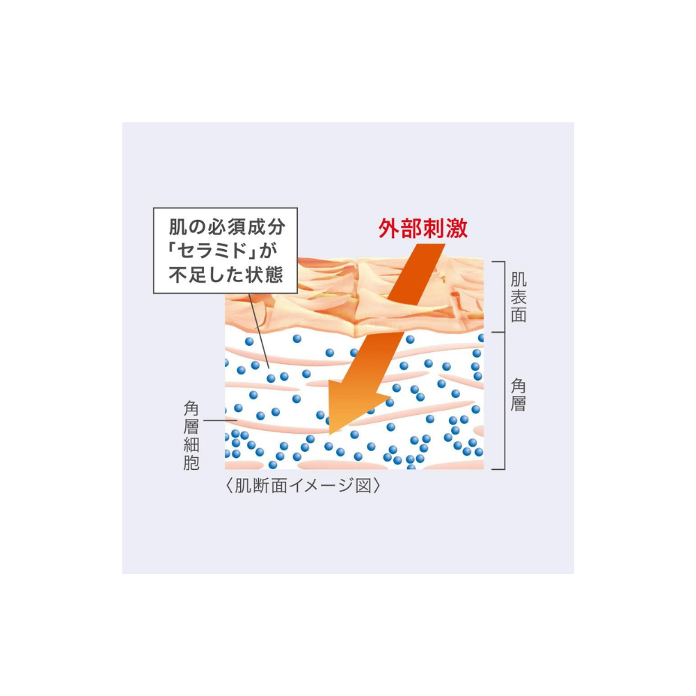 Curél Intensive Moisture Gesichtscreme 40g | Nr. 1 in Japan für empfindliche Haut – japanische Hautpflege