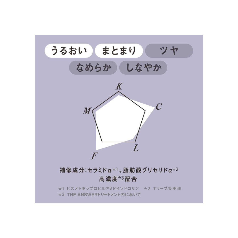 Kao THE ANSWER EX Moist Treatment 220g | Japan