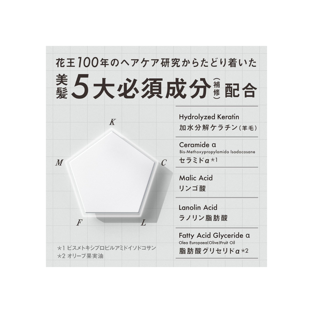 Kao THE ANSWER Super Lamellar Shampoo 400ml | Japan