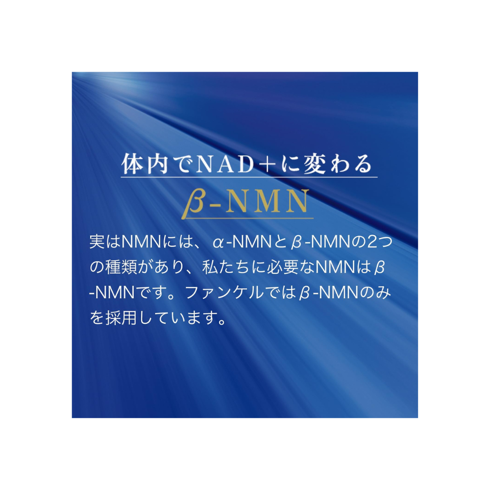 فانكل نمن × CoQ10 | 300 ملغ NMN + 100 ملغ من CoQ10 المخفض | كبسولة ليكابس السائلة | العرض لمدة 30 يومًا