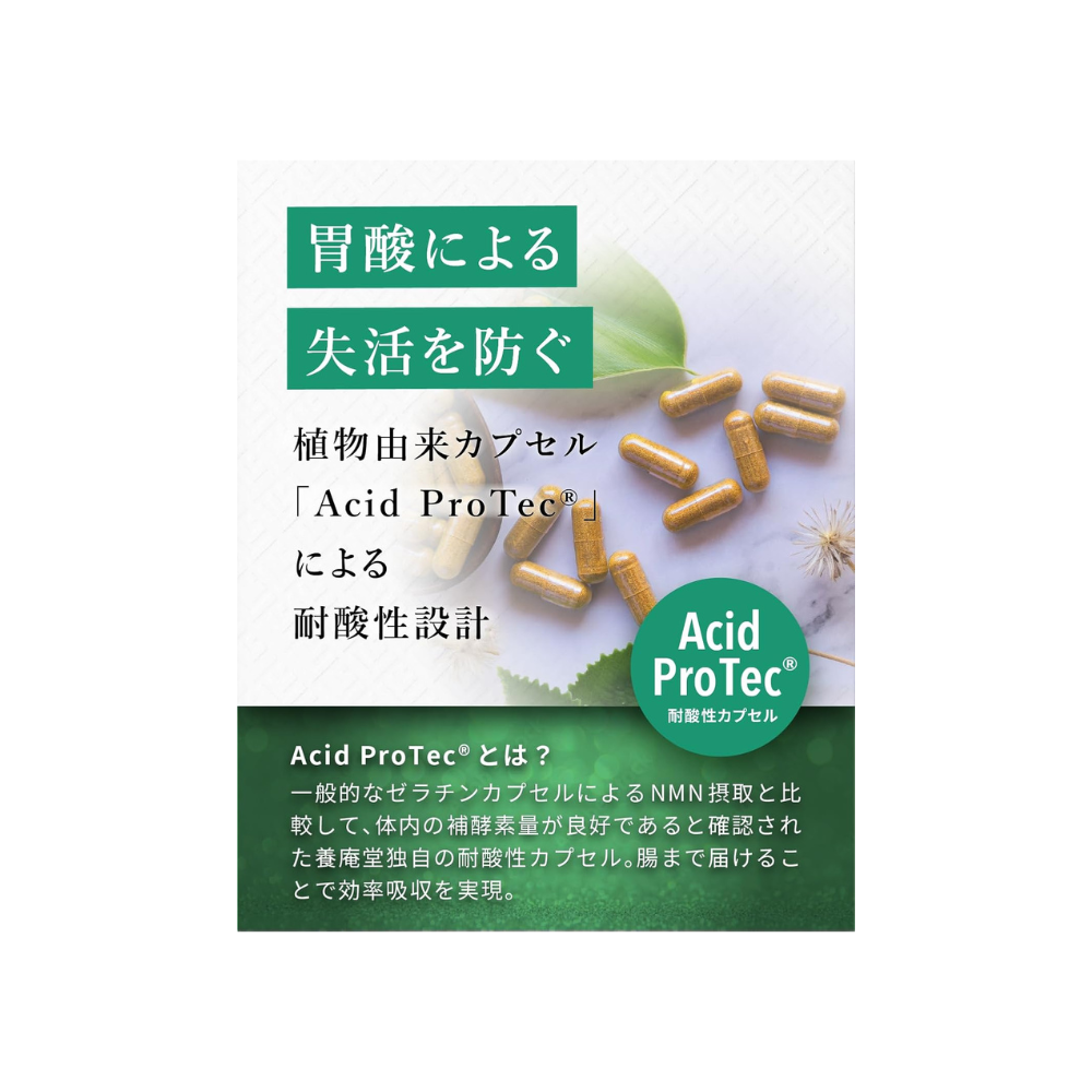 يواندو NMN 18000 بيوتي | 600 ملجم NMN/اليوم + عش الطائر + سيراميد الأناناس | 120 كبسولة مقاومة للأحماض